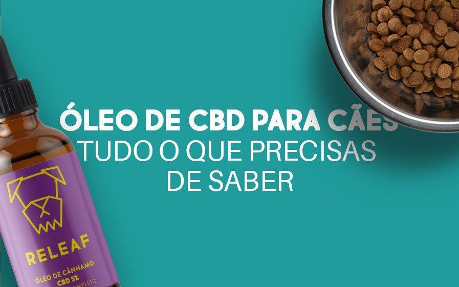 Óleo de CBD para Cães: Tudo o que precisas de Saber