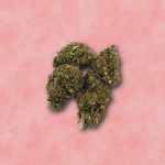Explora as flores de CBD premium em Portugal. Strawberry Kush, cultivada em greenhouse em França, com aroma frutado a morango e 10% de CBD.