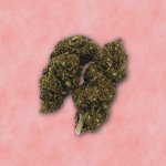 FLOR DE CBD premium STRAWBERRY CHEESECAKE 10% CBD